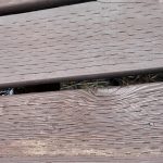 IMG_1749