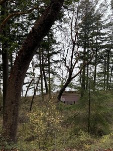 IMG_1754